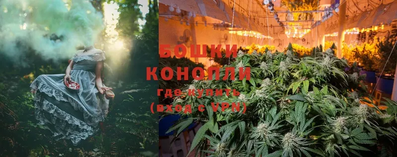 Шишки марихуана Ganja  где продают   Мурино 